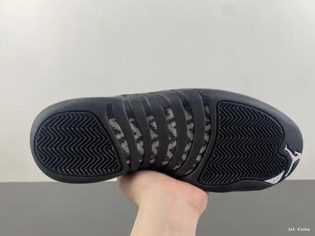 The 130690-013 Jordan Retro Master 12 Air 0522